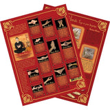 Laminated Descriptive Charts - Healing Hands - Yoga Spiritual Mudras English