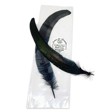 Smudging -Feather -Black Crow