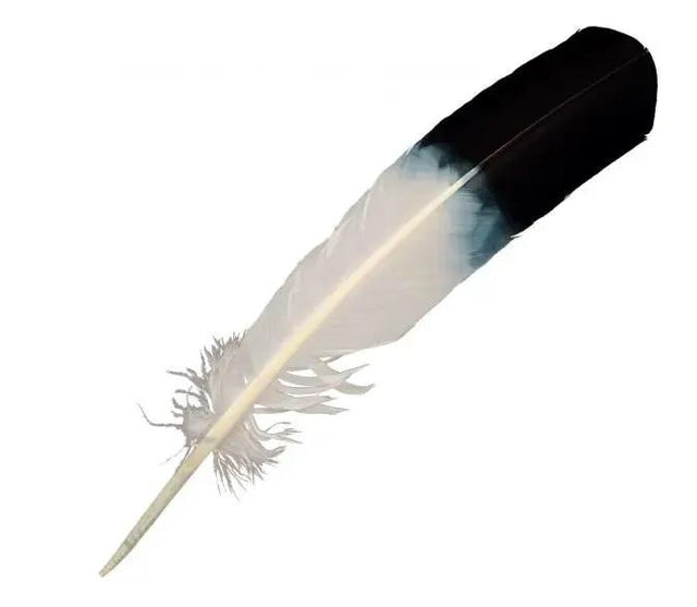 Smudging - Feather - Eagle