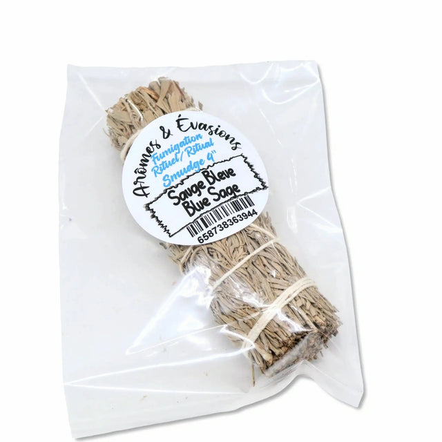 Smudging Incense Stick - Blue Sage - 4"
