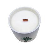 Scented Soy Candle - Botanical Garden - Wild Jasmine