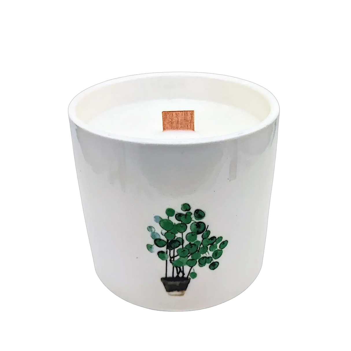 Scented Soy Candle - Botanical Garden - Lemon Honeysuckle