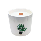 Scented Soy Candle - Botanical Garden - Lemon Honeysuckle Plant