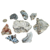 Stone - Agate Natural Druze - Shape Shell - Specimen