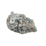 Stone - Agate Natural Druze - Shape Shell - Specimen