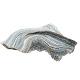 Stone - Agate Natural Druze - Shape Shell - Specimen