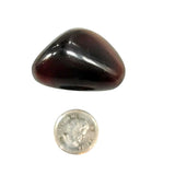 Stone -Amber -Tumbled -Large