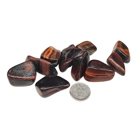 Stone - Bull's Eye (Red Tiger Eye) - Tumbled