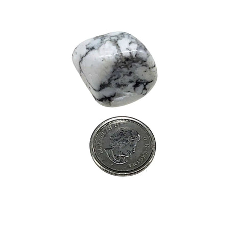 Stone - Howlite - Tumbled
