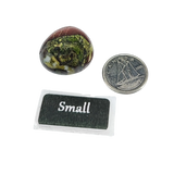 Stone - Jasper - Dragon Blood - Tumbled Small: 5g-9g