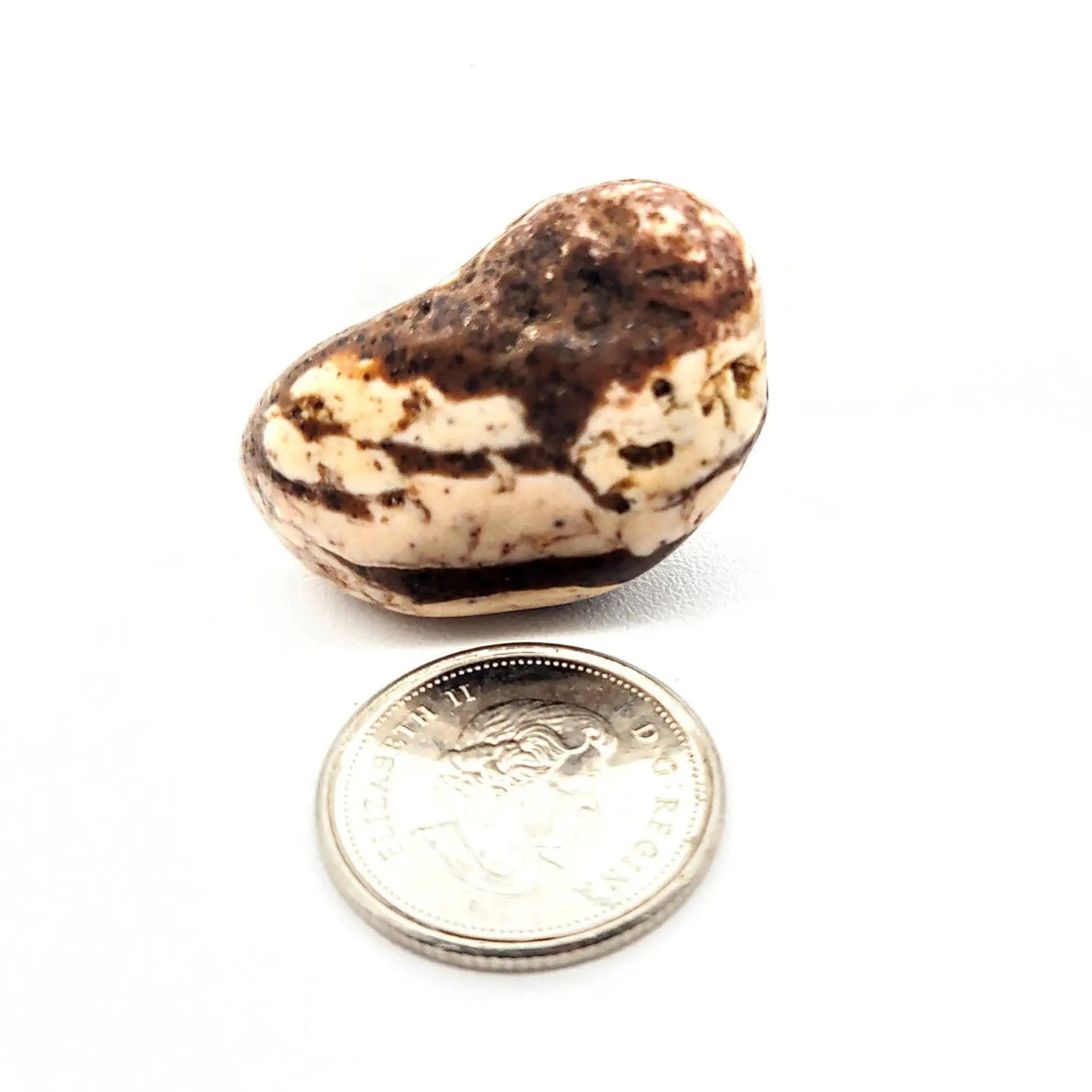 Stone -Jasper -Zebra -Tumbled