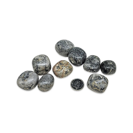 Stone - Picasso Jasper - Tumbled