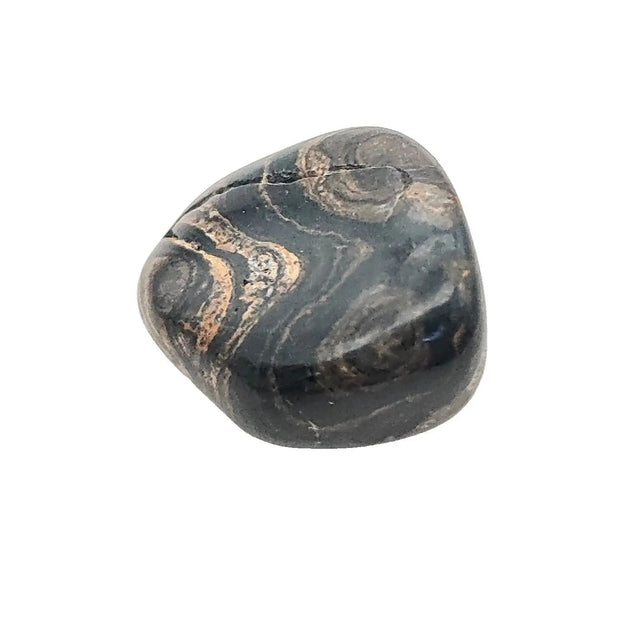 Stone - Stromatolite - Tumbled - Medium