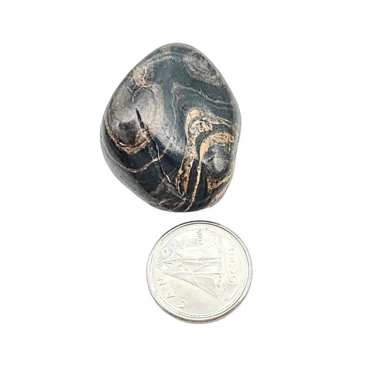 Stone - Stromatolite - Tumbled - Medium