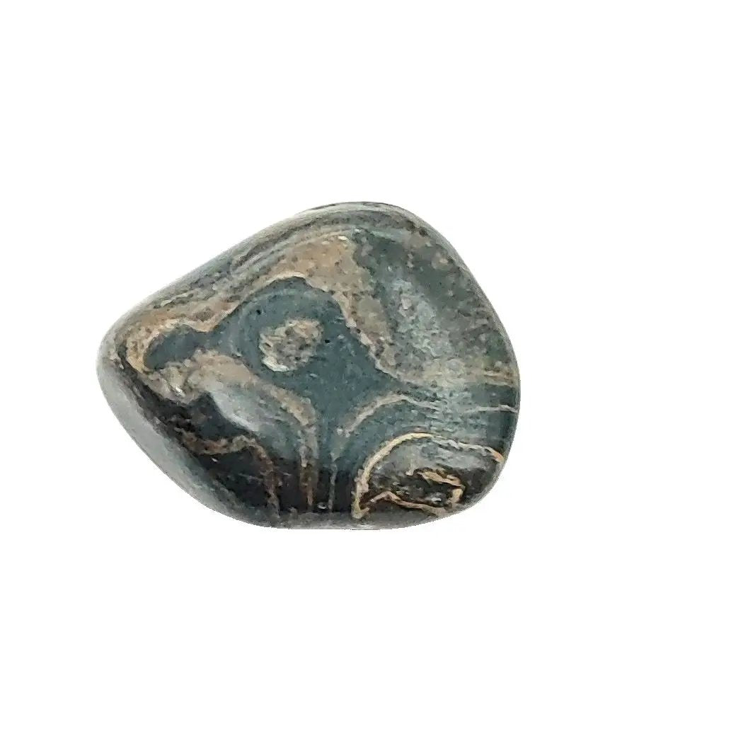 Stone - Stromatolite - Tumbled - Medium