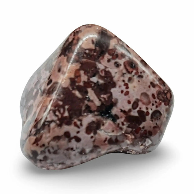 Stone -Tiger Jasper -Tumbled