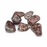 Stone -Tiger Jasper -Tumbled
