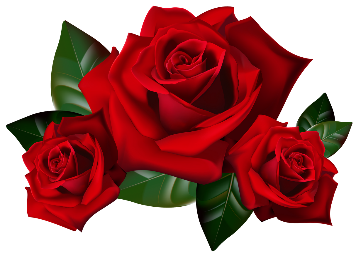Incense - Backflow Cones - Roses - 8 Cones