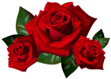 Incense - Backflow Cones - Roses - 8 Cones