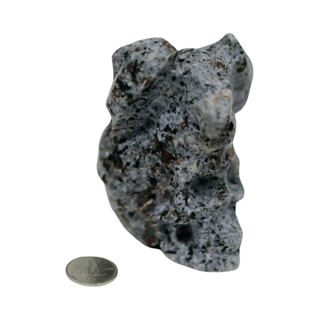 Stone - Natural Syenite Crystal - Sculpture - Skull - Pür Sérénité