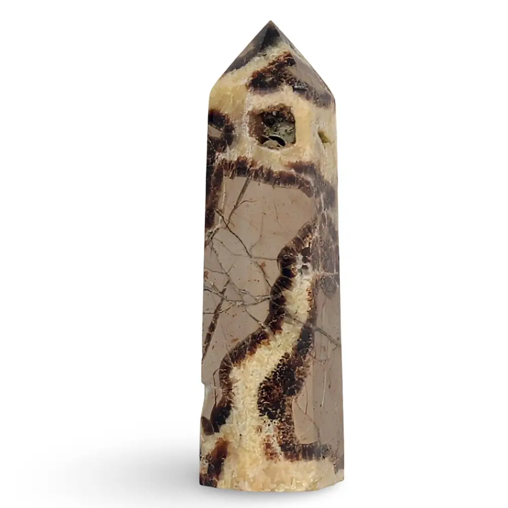 Stone - Crystal Point - Septarian - Tumbled