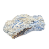 Kyanite specimen, rough natural rock with blue blade crystals on light matrix, 9in, 2330g