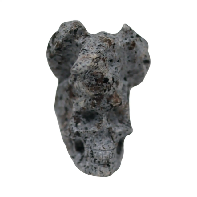 Stone - Natural Syenite Crystal - Sculpture - Skull - Pür Sérénité